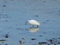 2017-09-30 14-58-07 Circuit Batz sur mer et Le Croisic MBo
